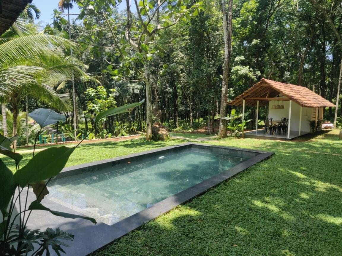 Pool Villa - The Humming Trees, Pala Lalam Exterior photo